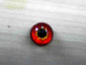 make glass eyes 